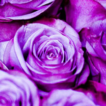 【常见问题】解决的DDOS网页端